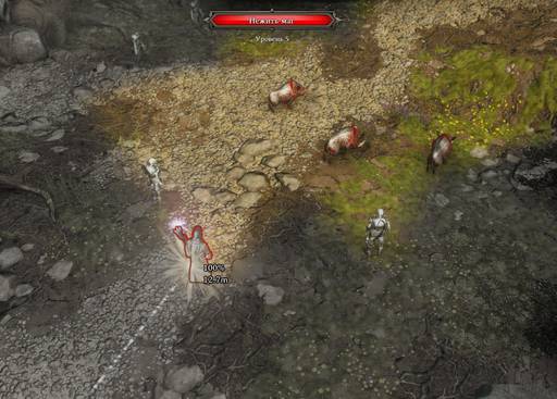 Divinity: Original Sin - Divinity:Original Sin: Маги и спутники.